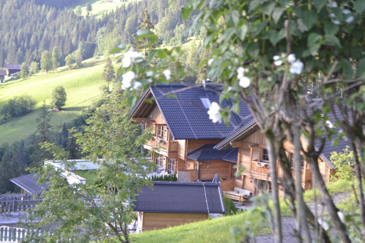 Bergseegut Chalet Und Apartment Wagrain Zewnętrze zdjęcie